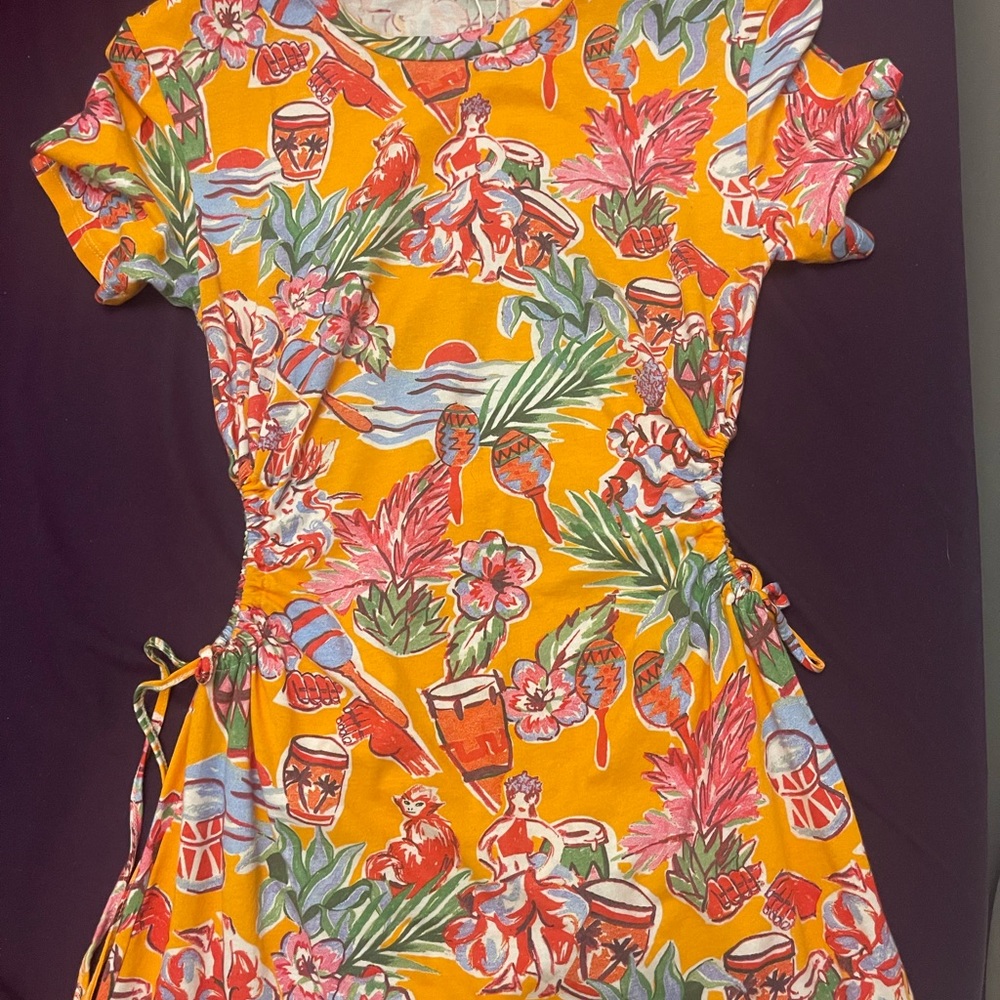 Adorable Zara dress